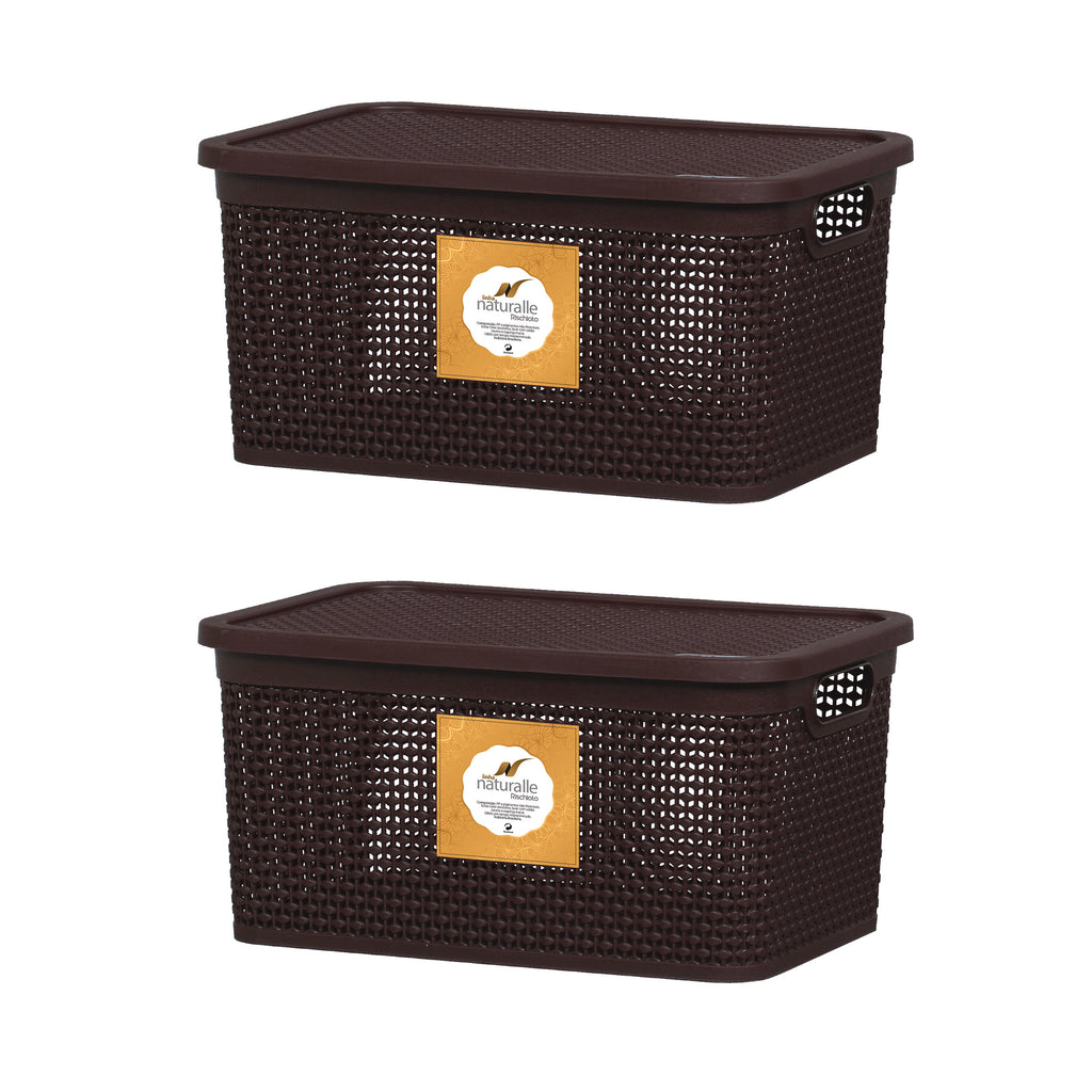 Pack 2 Cajas Organizadoras Medianas Chicas Símil Rattan 4 Lt