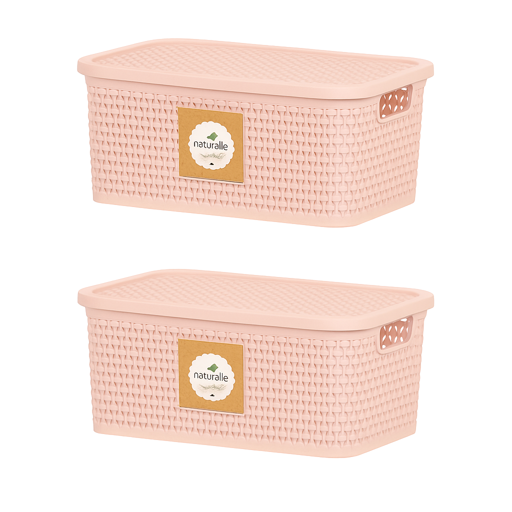 Pack 2 Cajas Organizadoras Medianas Chicas Símil Rattan 4 Lt